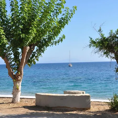 Spyros Vila *